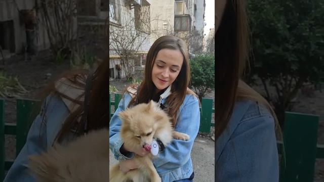 Отпугиватель насекомых. Отзывы смотреть онлайн