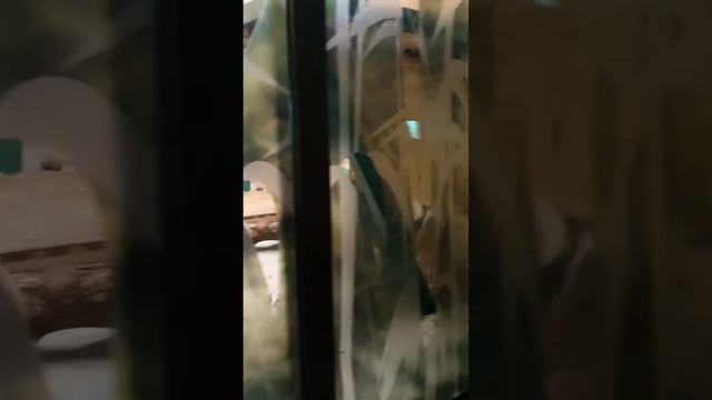 Прогулка по Екатеринбургу/Зоопарк/Развлечения детей/Еда смотреть онлайн