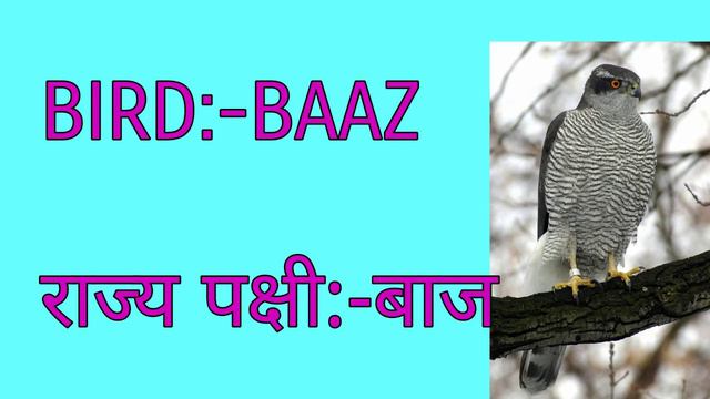 PUNJAB(पंजाब) || भारत को जानो(KNOW OUR INDIA) || INDIAN STATE AND UT by A TO Z STUDYZ смотреть онлайн