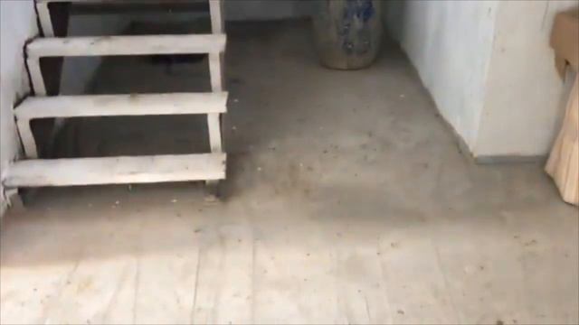 Сатинские пруды / Продажа дома смотреть онлайн