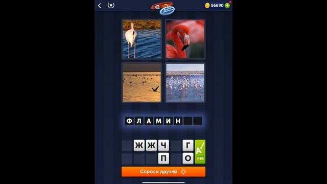 4 фотки 1 слово - Друзья животных - 05.02.2022 - Ответы Ежедневная Загадка - февраль 2022 смотреть онлайн