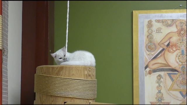 509 РЕГУЛЯРНЫЕ ЗАНЯТИЯ ЮН ЧУН смотреть онлайн