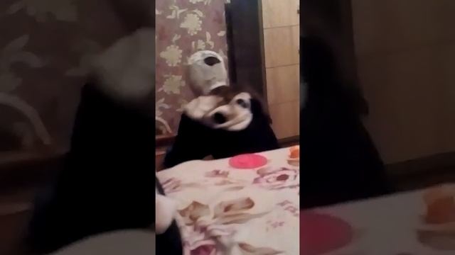 Подгузник. смотреть онлайн