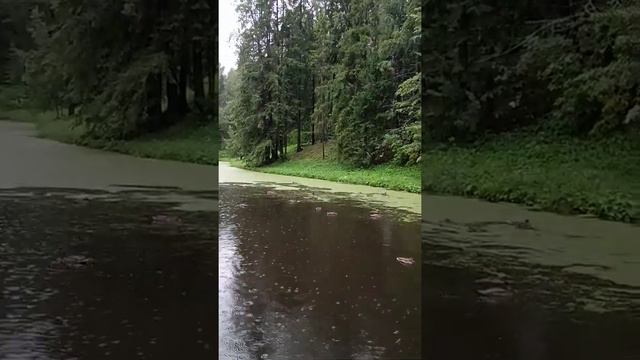 "Подари мне восход и луну подари..." Поэт и режиссер - Ирина Эрман смотреть онлайн