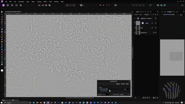 Rhododendron Road смотреть онлайн