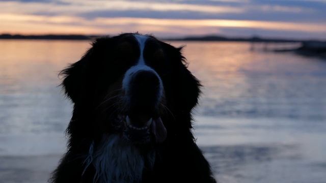 SUNSET - Panasonic gx80 4k 25mm 1.7 sample video смотреть онлайн