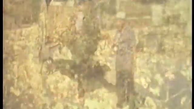 Descarregant verema a la Fassina del Sindicat de Vilaverd. смотреть онлайн