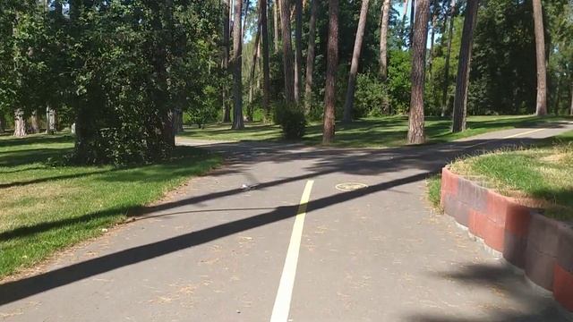Польша для новичка! Польская транспортная компания хороша для украинского водителя. Первая фирма. смотреть онлайн