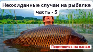 Необычные случаи на рыбалке - часть 5