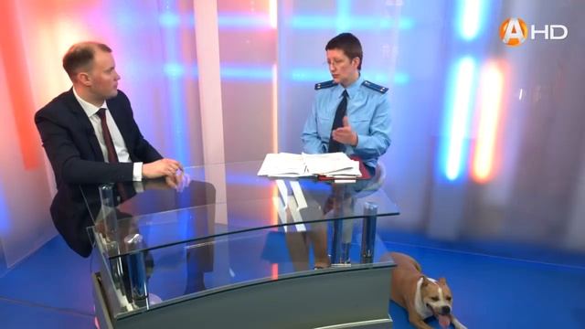 РАМКИ ЗАКОНА: Разговор с прокурором о нововведениях в законе о содержании домашних животных смотреть онлайн