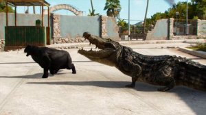 Black Panther VS all other Animals in Far Cry 6