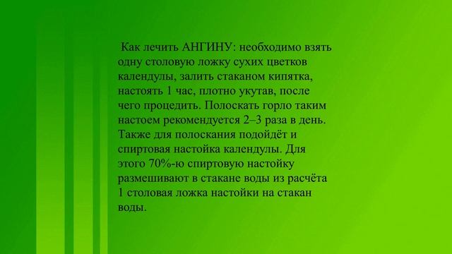 Полезные свойства календулы. презентация. смотреть онлайн