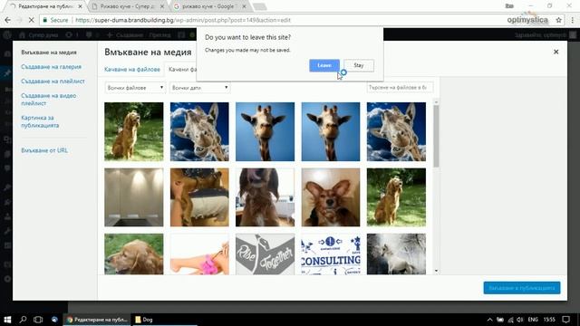 Търсене по снимка - SEO оптимизация смотреть онлайн