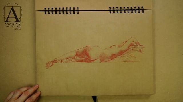 How to Draw - Anatomy Lesson for Artists смотреть онлайн