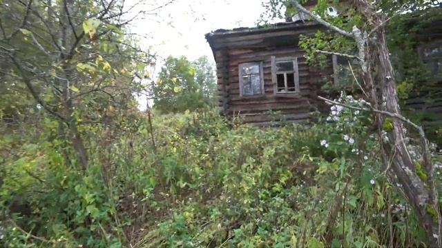 Тернистые маршруты смотреть онлайн