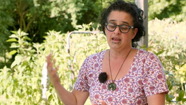 Dr Jessica Hutchings Interview on Hua Parakore, Māori Food Sovereignty, and Growing Organic Food смотреть онлайн