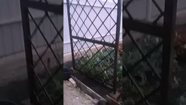 ШПАЛЕРА ДЛЯ РОЗ своими руками смотреть онлайн