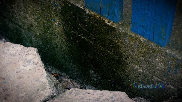 удалитель грибка и плесени. видеотест смотреть онлайн