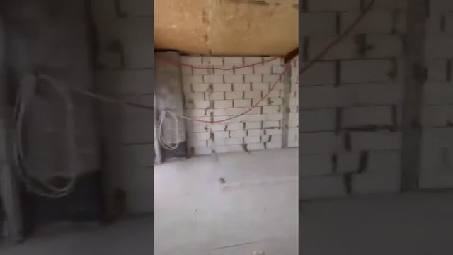 Пентхаус в Сочи ,центр ? смотреть онлайн