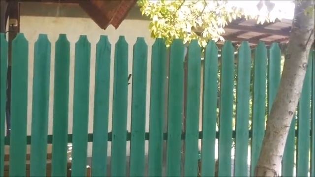 Поющий соловей на даче смотреть онлайн