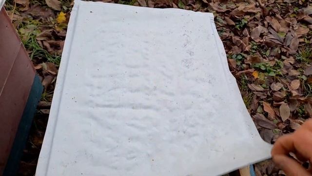 Як зимують матки ШЗ італійка лігустіка. Вентиляція у вуликах. смотреть онлайн