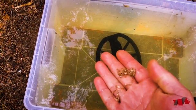 Обзор Scuba-10GR SE новинка 2020. Подводный металлодетектор.