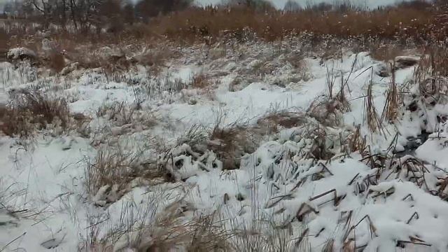 СЛЕПАЯ. ЯСНОВИДЯЩАЯ БАБА НИНА. ПРИМЕТЫ И МУДРЫЕ СОВЕТЫ ПРО БЕРЕМЕННОСТЬ. Часть 28 смотреть онлайн