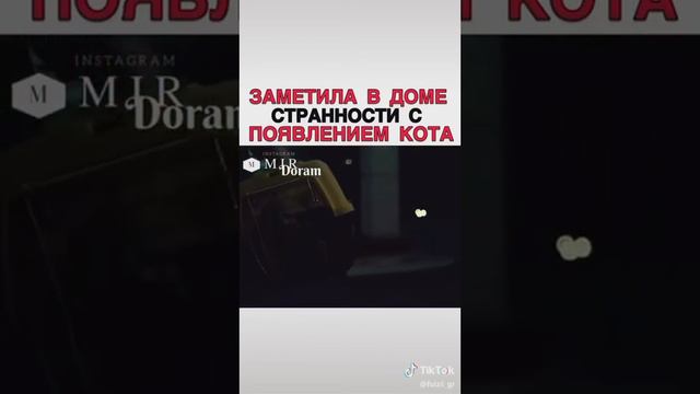 🎬Кот глаза которого видит смерть🎬 смотреть онлайн