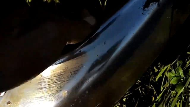 Снятие бамперов Hyundai