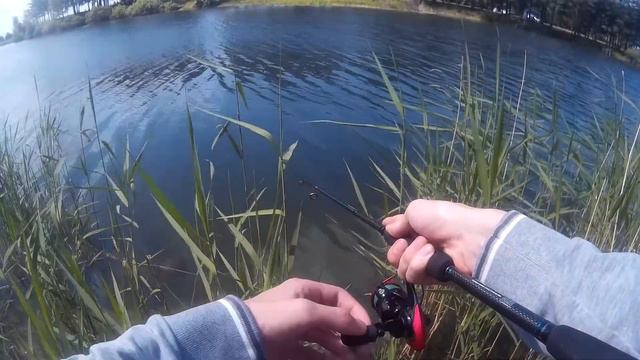 Открытие спиннгового сезона 2019 смотреть онлайн