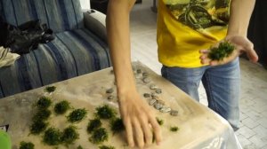 Часть 2. Приклеиваем Ломариопсисис к камню.