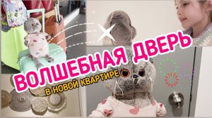 Влог Вирсюши. Волшебная дверь в новой квартире