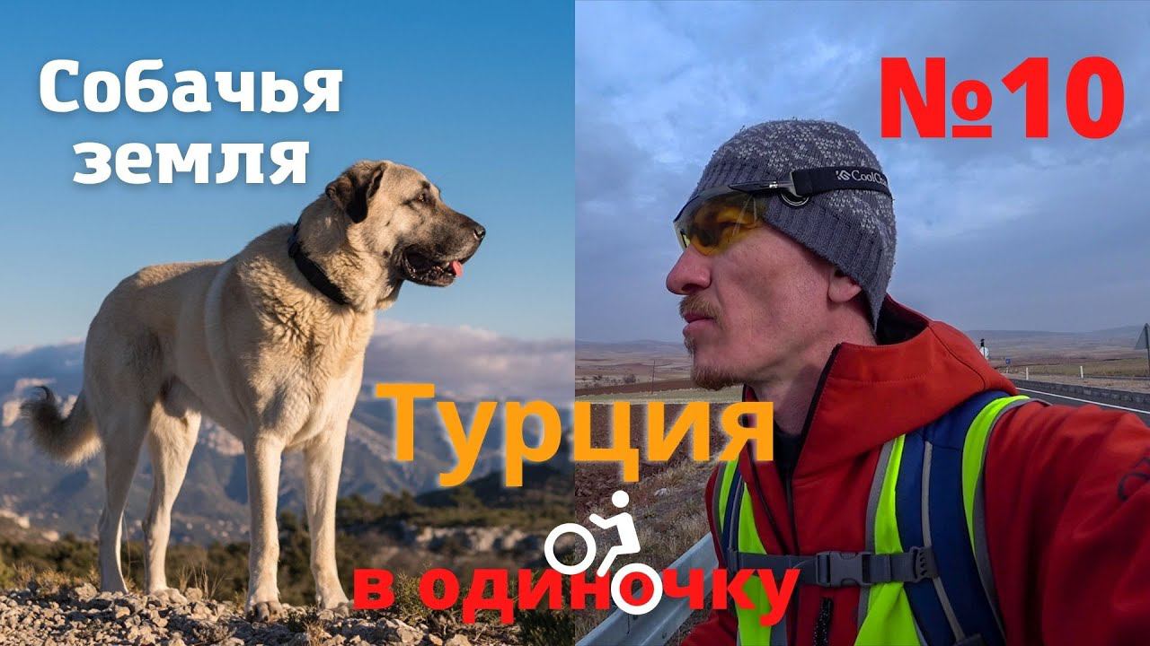 1500 км. на велосипеде по Турции зимой. Собачья земля. #10 смотреть онлайн