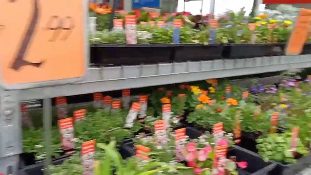 Visit To Nearby Bunning Warehouse In Melbourne# Beautiful Flowers,plants, Herbs Etc.👌😍🤗😘❤🌹🌹🙏