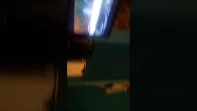 Cat piano solo meow meow meow смотреть онлайн