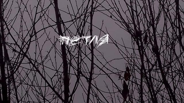 свидетельство о смерти - петля (кавер рыб относят к типу) смотреть онлайн