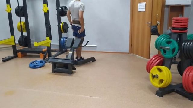 Внезапно решили вспомнить, что такое подтягивания с весом смотреть онлайн