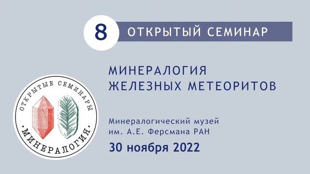МИНЕРАЛОГИЯ ЖЕЛЕЗНЫХ МЕТЕОРИТОВ смотреть онлайн