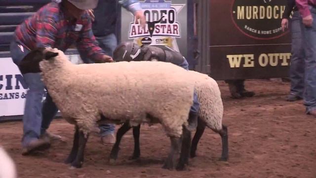 Mutton Busting at Rodeo All-Star смотреть онлайн
