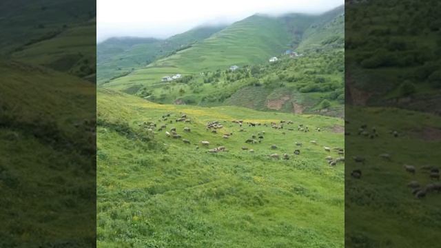 Красота Дагестана село Бухты смотреть онлайн