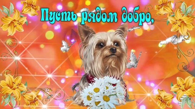 С Добрым утром! Желаю счастья! смотреть онлайн