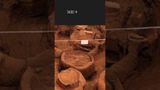 Самая древняя винодельня в мире | Армения - Арени смотреть онлайн