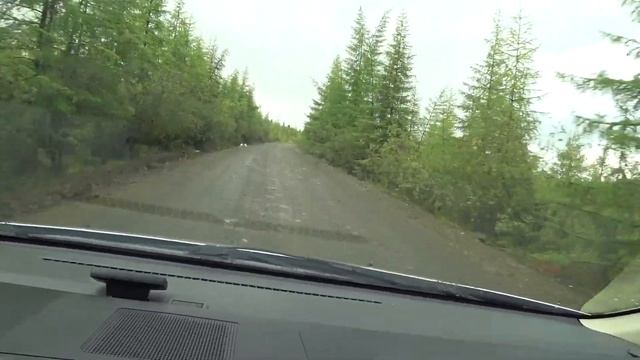 Куропаточки #shorts смотреть онлайн