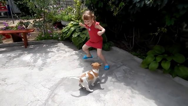 Как растут собаки? Дружок Подрос | Собака выросла :))) смотреть онлайн