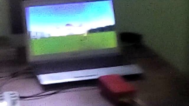 Симулятор кордовой модели