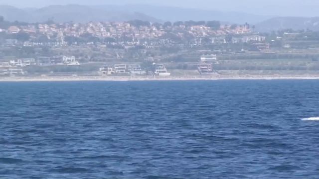 Blue Whale leaps out of the water, Dana Point Ca. must see only 20 seconds смотреть онлайн
