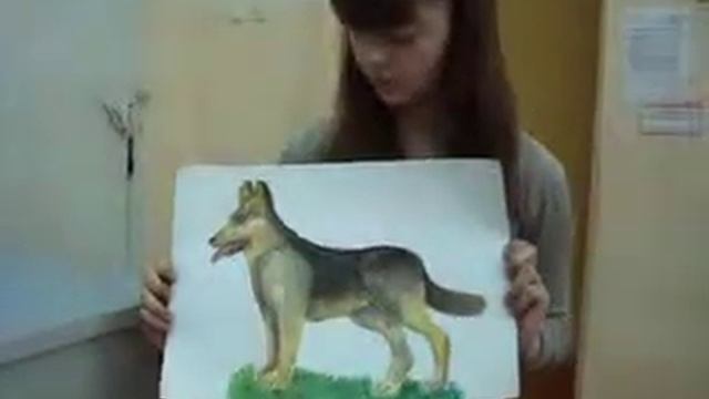 Алена Щукина. Мир моих увлечений смотреть онлайн