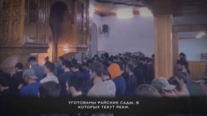 Умар Сильдинский | Аяты из Суры «Али Имран»