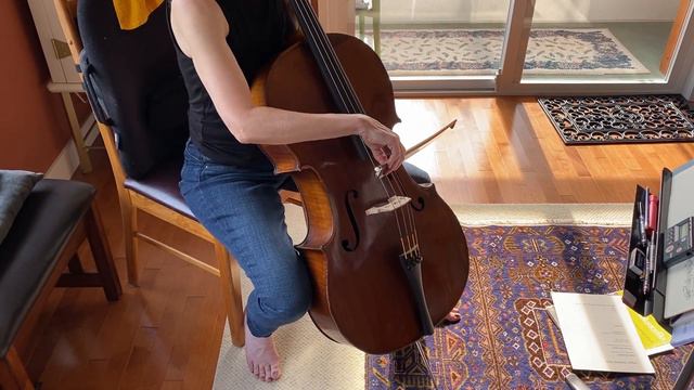ER Schmidt 'Standard' Cello c. 1890 - Sound Sample смотреть онлайн