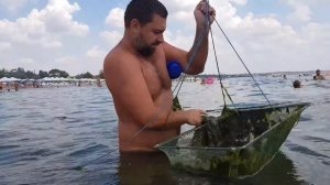 Ловим КРЕВЕТКУ на море. КАК? И ГДЕ?